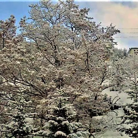 Hotel Acropolis Metsovo Kallithea (Chalkidiki)